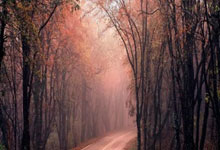 [图]中超-武磊造两点球奥斯卡双响 海港3-0十人南通.