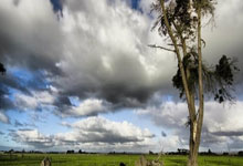 咪咕体育：[欧冠]“冠军德比” 皇马曼城握手言和.