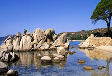 [图]坎宁安被驱逐雷霆险胜活塞 亚历山大48+6.